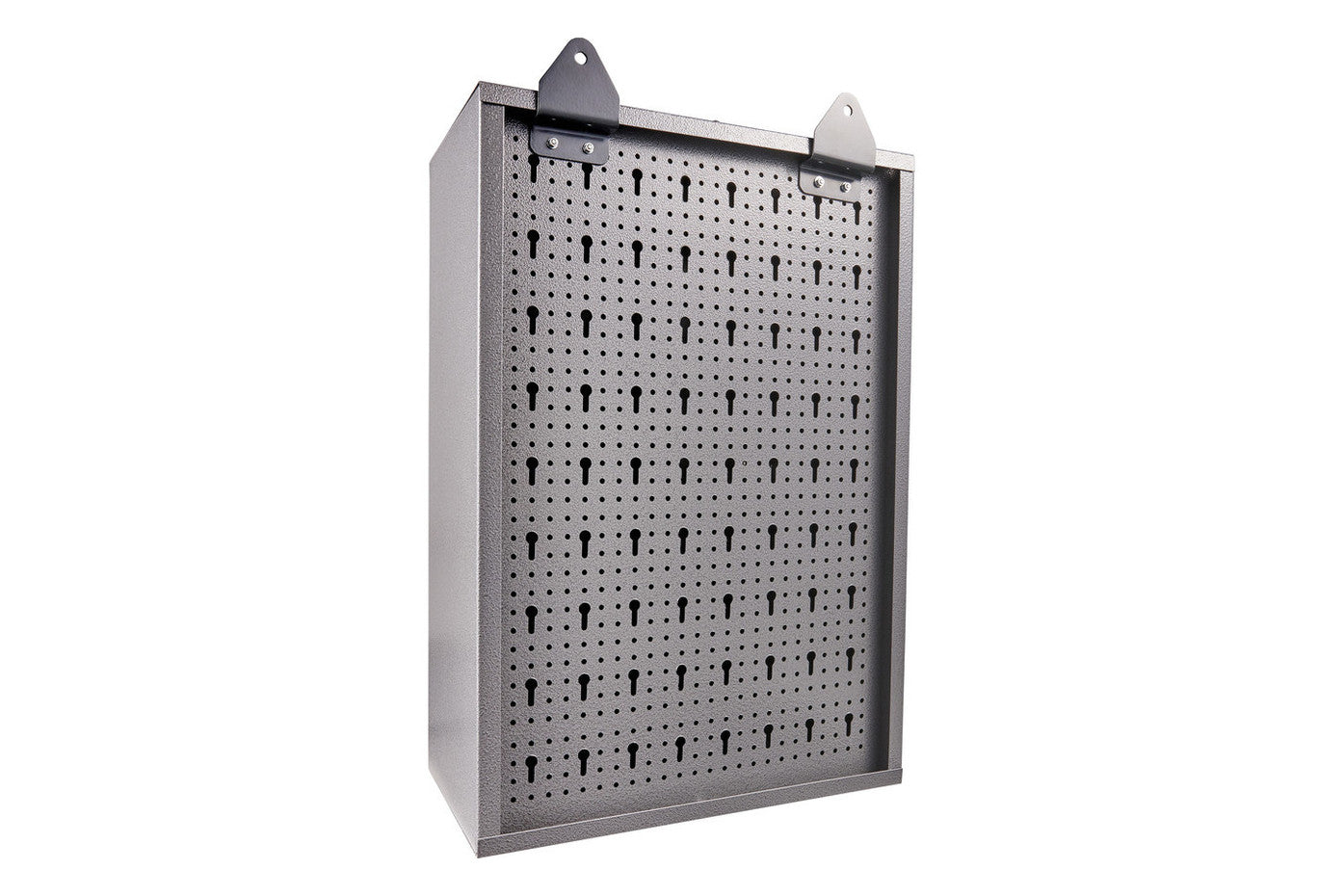 Hängeschrank 1-tlg. (P:50)