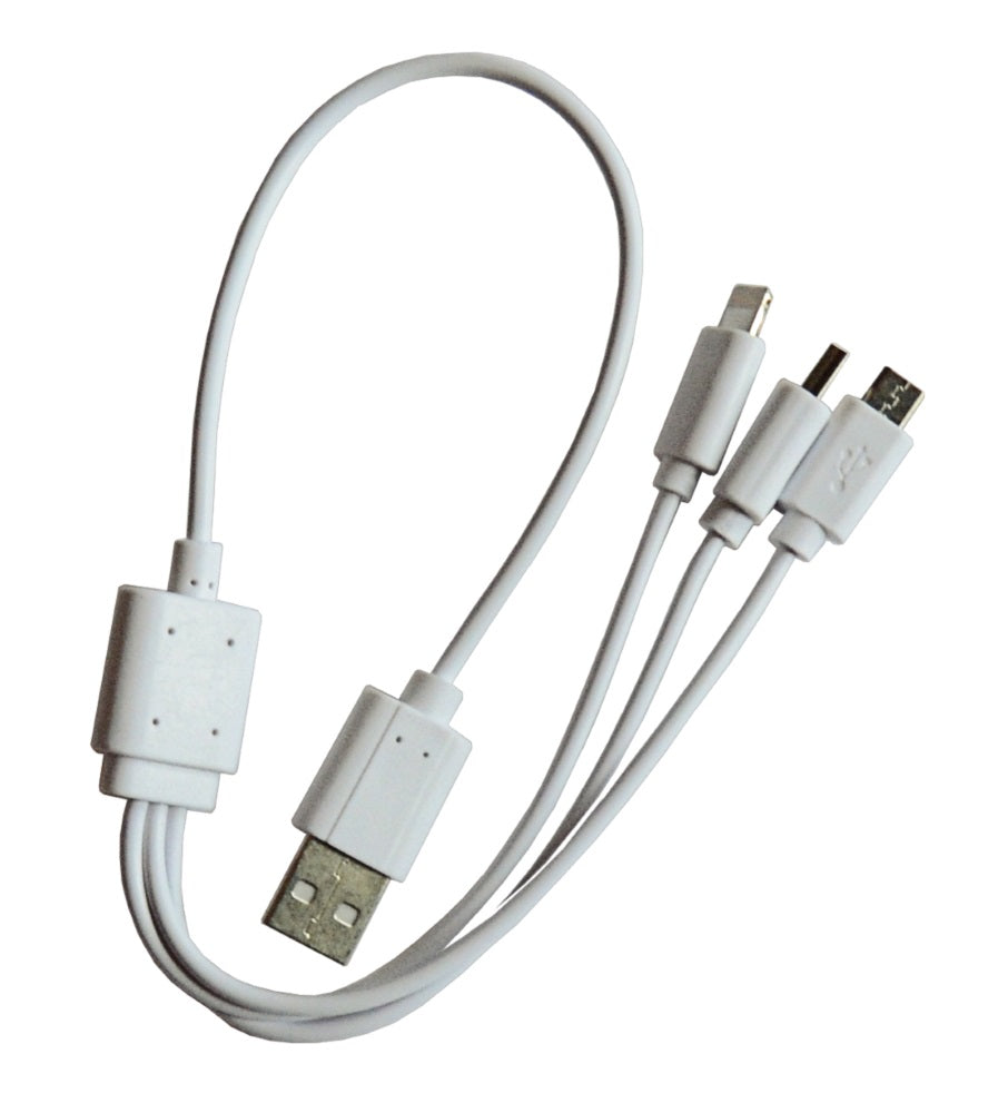 Notstarter und Powerbank FAST 300