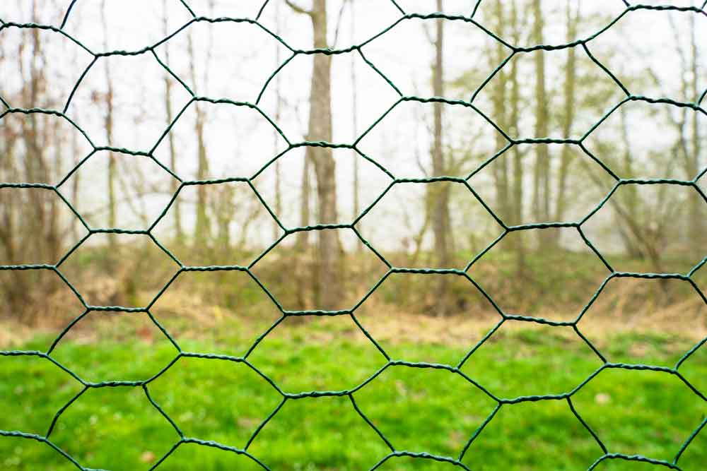 Heimtiergehege 3m x 2m x 2.5m
