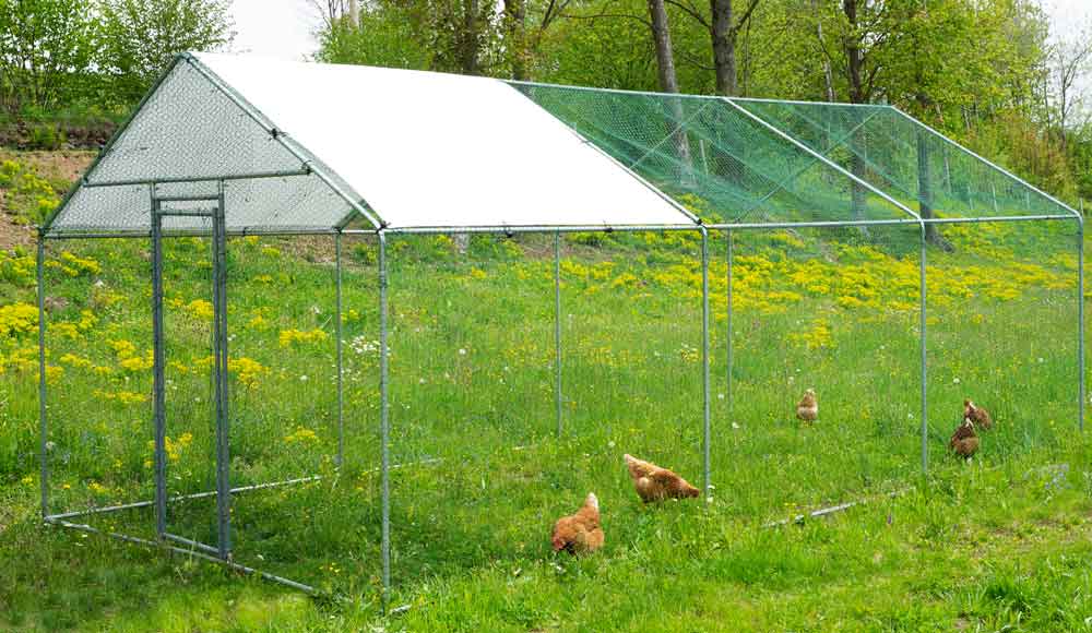 Heimtiergehege 3m x 6m x 2.5m
