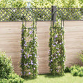 Garten-Ranktürme 2 Stk.