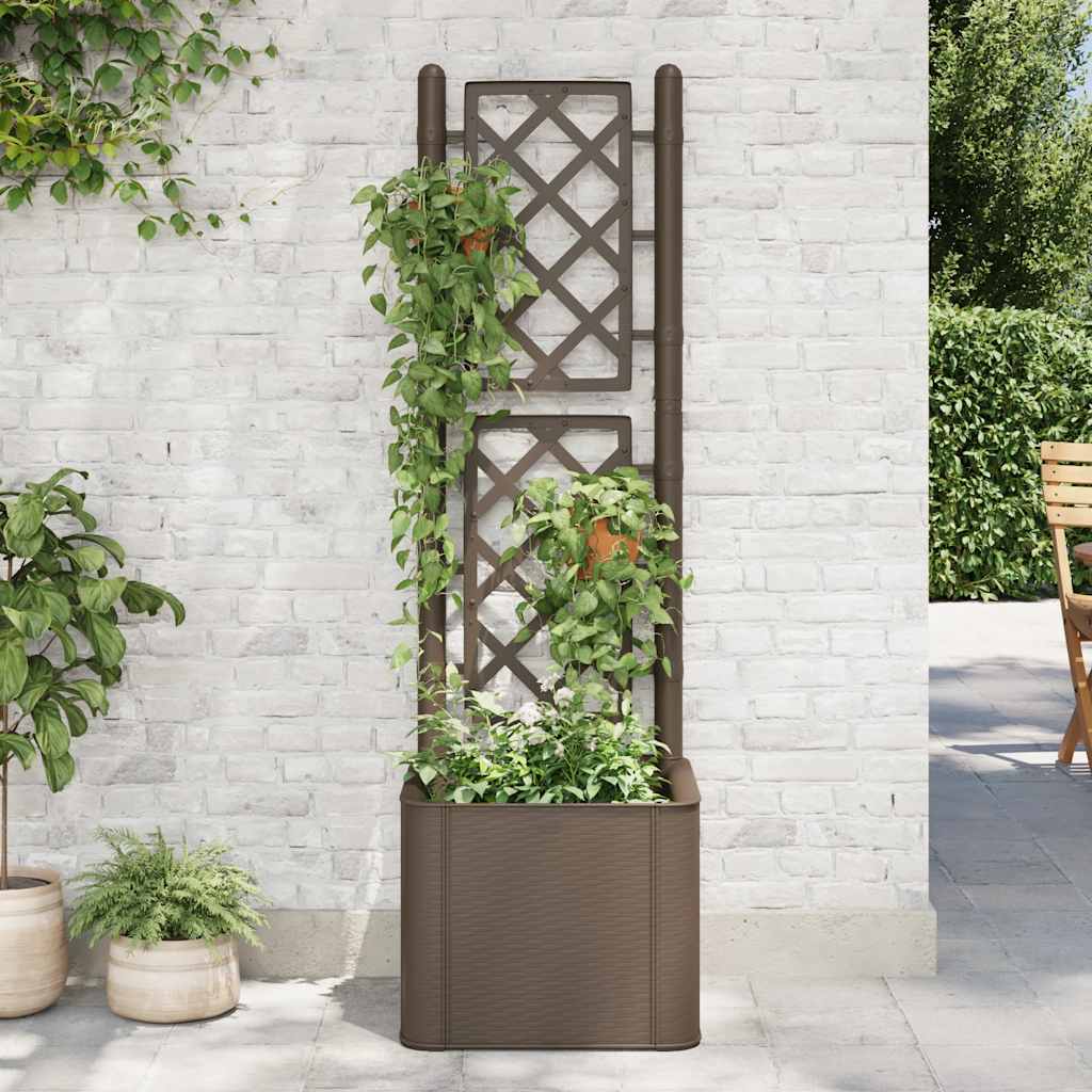 Garten-Hochbeet Mit Spalier Und Selbstbewässerungssystem Mokka