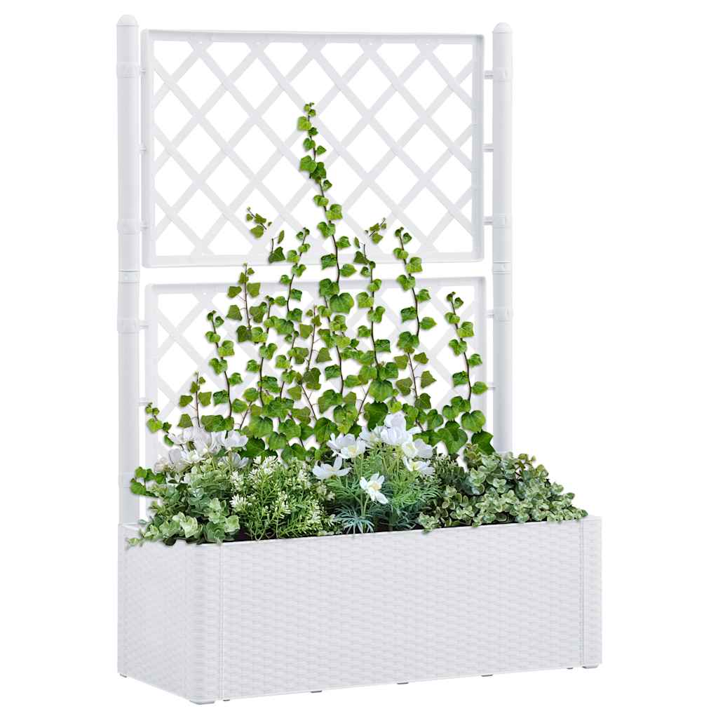 Garten-Hochbeet Mit Spalier Und Selbstbewässerungssystem Weiß