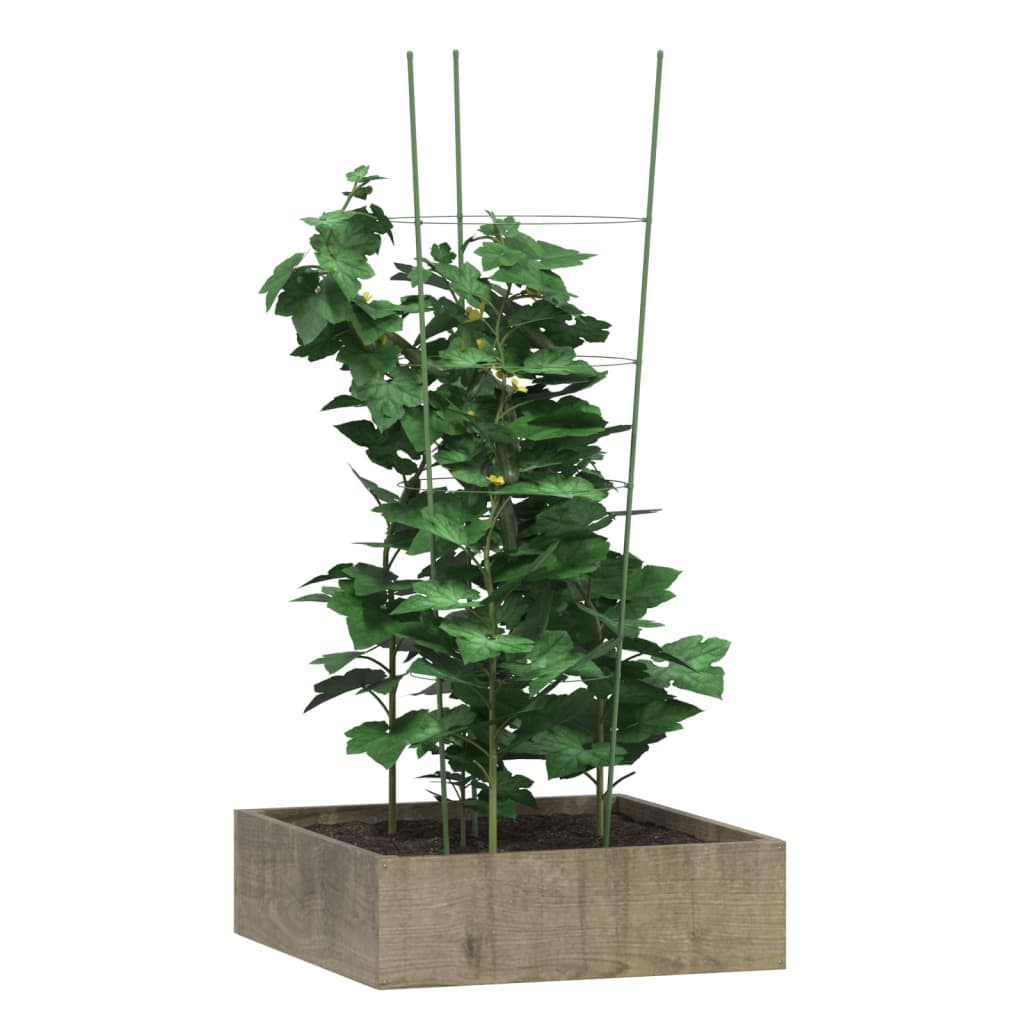 Pflanzenstützen Mit 4 Ringen 5 Stk. Grün 90 Cm Stahl