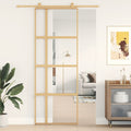 Schiebetür En Matt Esg-Glas Und Aluminium Gold