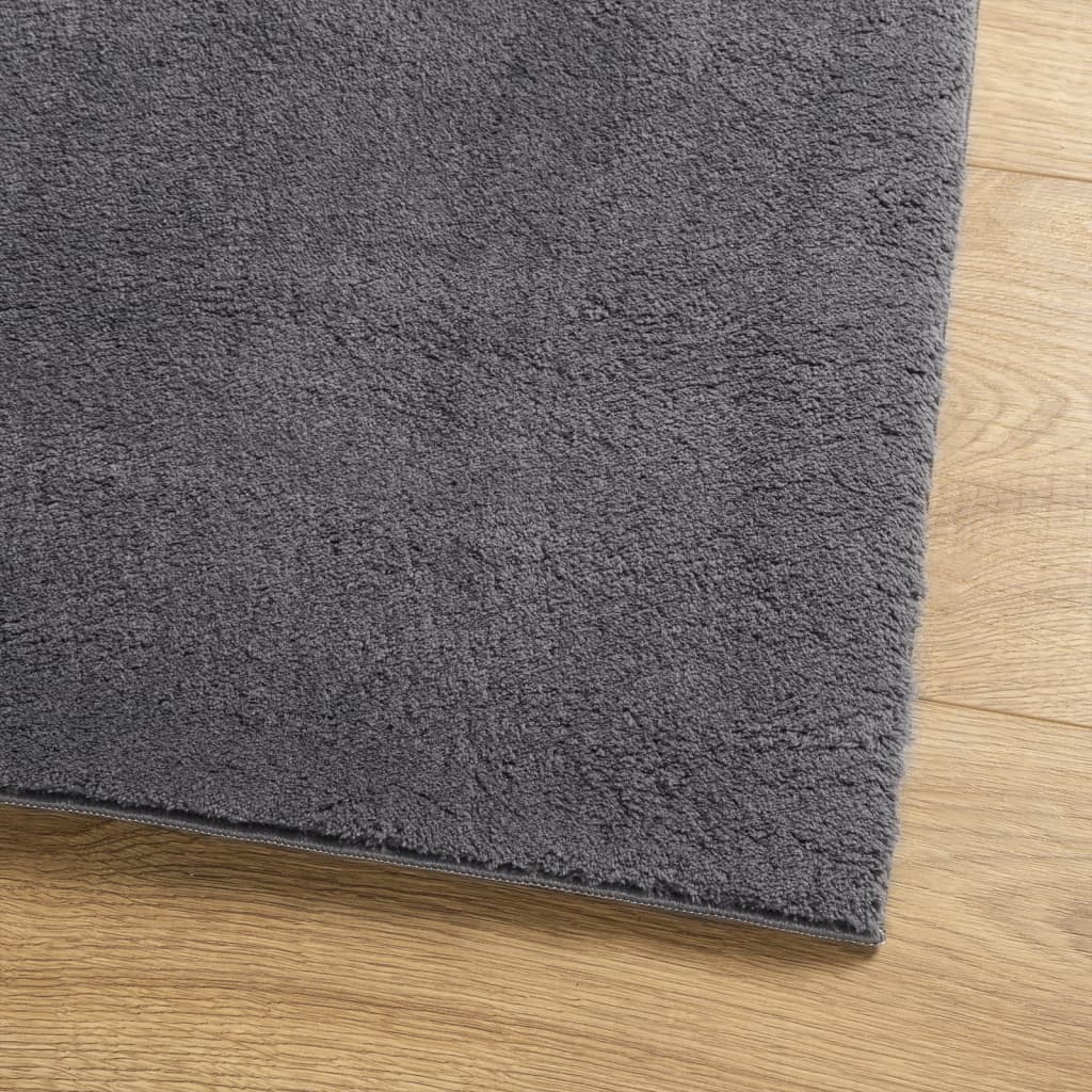 Teppich Huarte Kurzflor Weich Und Waschbar Anthrazit