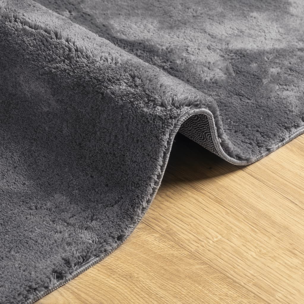 Teppich Huarte Kurzflor Weich Und Waschbar Anthrazit
