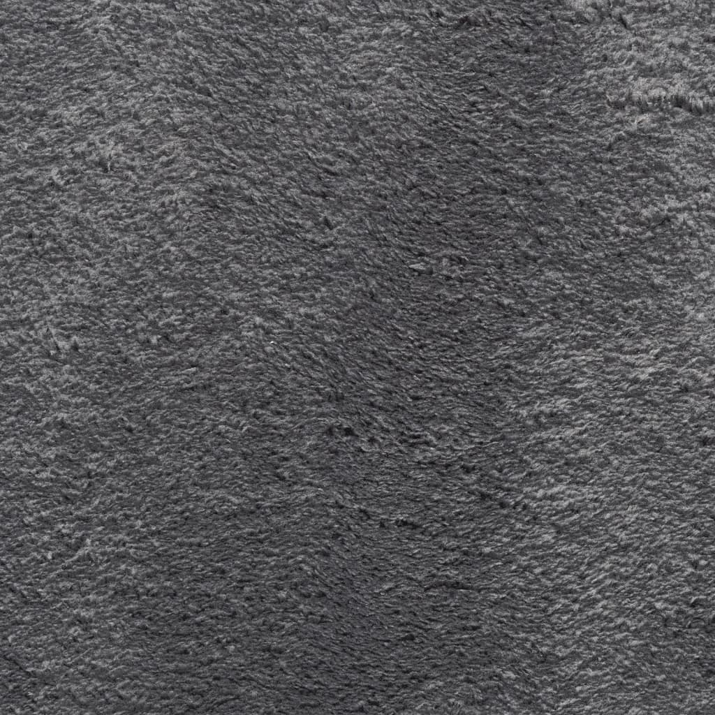 Teppich Huarte Kurzflor Weich Und Waschbar Anthrazit