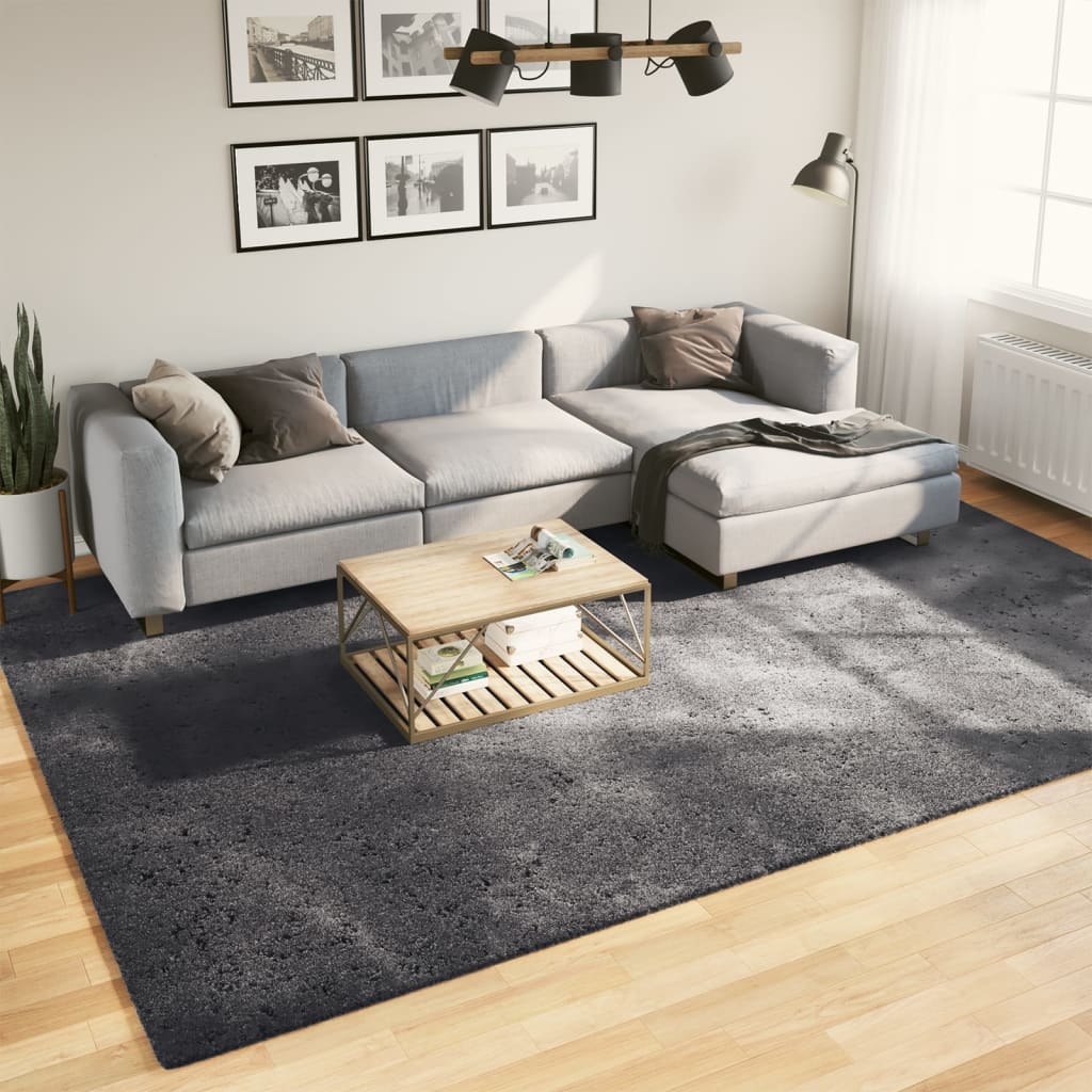 Teppich Huarte Kurzflor Weich Und Waschbar Anthrazit