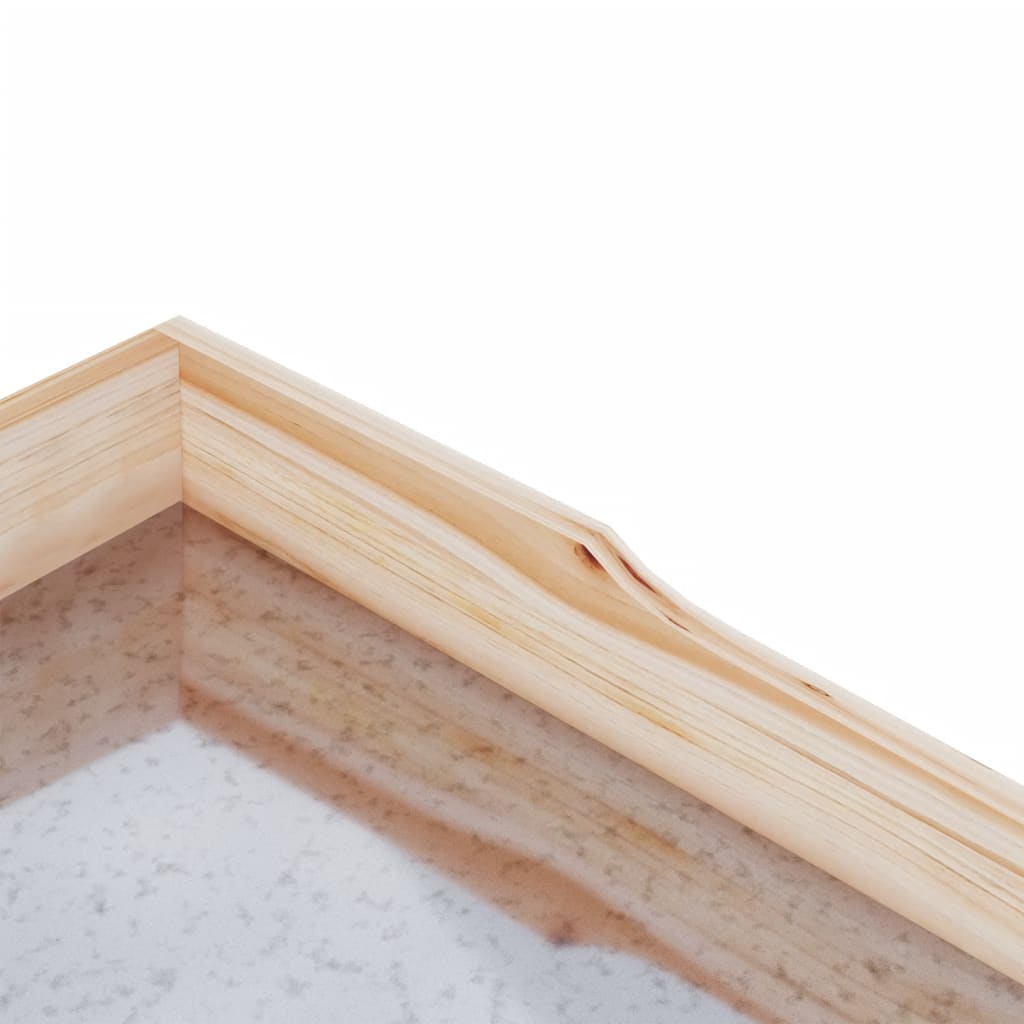 Pflanztisch Mit Ablagen 78X38X82,5 Cm Massivholz Tanne