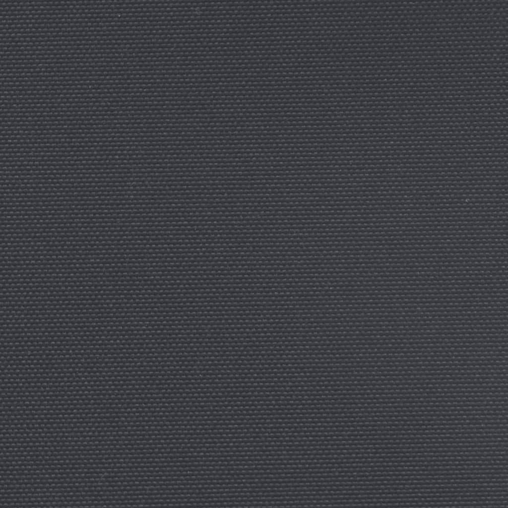 Seitenmarkise Ausziehbar Schwarz