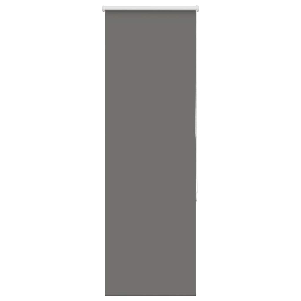 Verdunkelungsrollo 60X Stoffbreite 55,7 Cm Polyester Grau