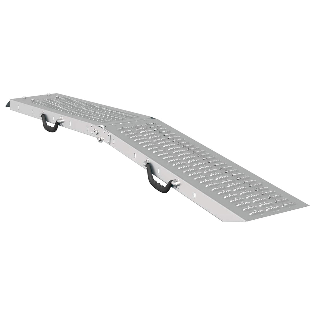 Faltbare Rampe 200Kg Pro Rampe 2 Pcs Silber 166 X 23 X 4,5 Cm