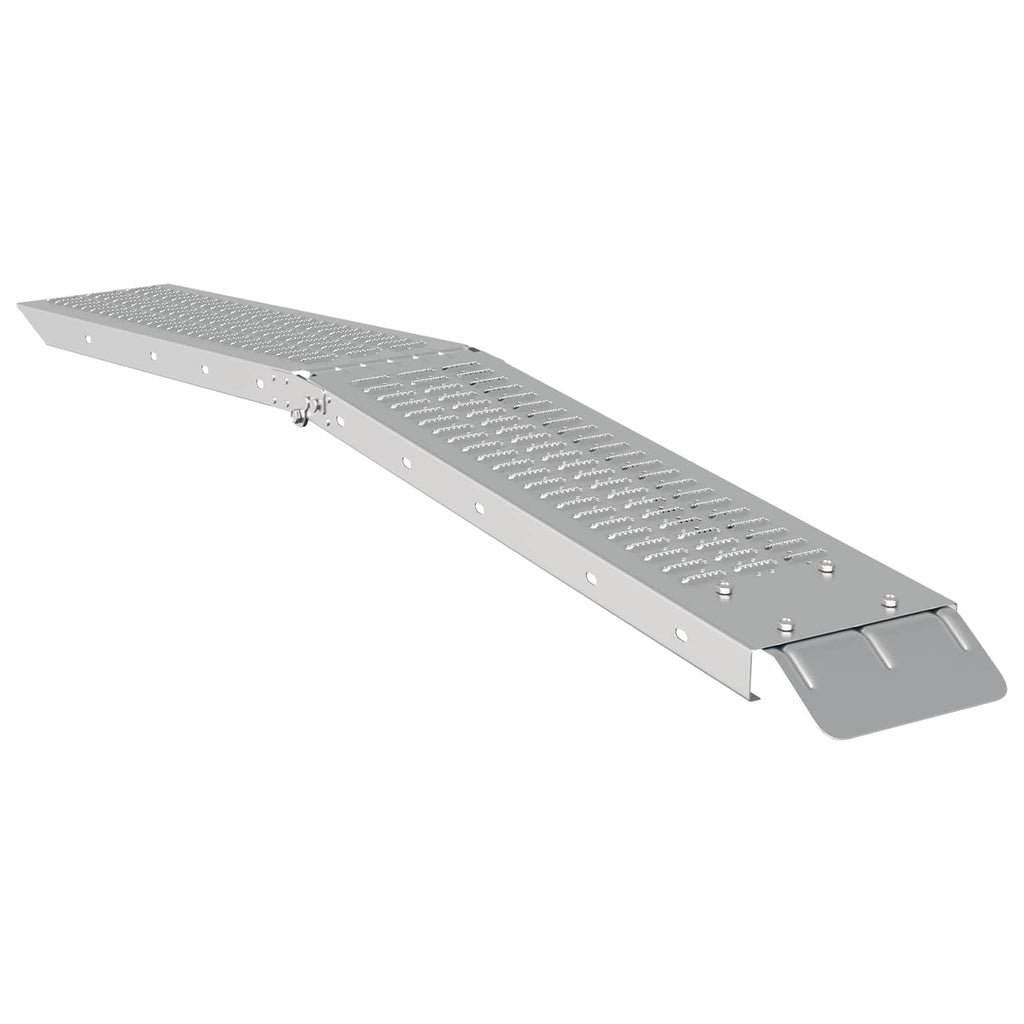 Faltbare Rampe 200Kg Pro Rampe 2 Pcs Silber 166 X 23 X 4,5 Cm