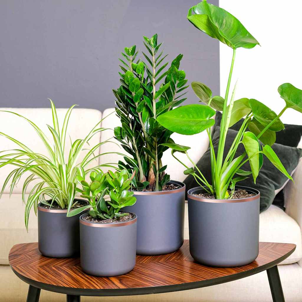 Kupferband Kupfer 2000 X 3 Cm Kupfer