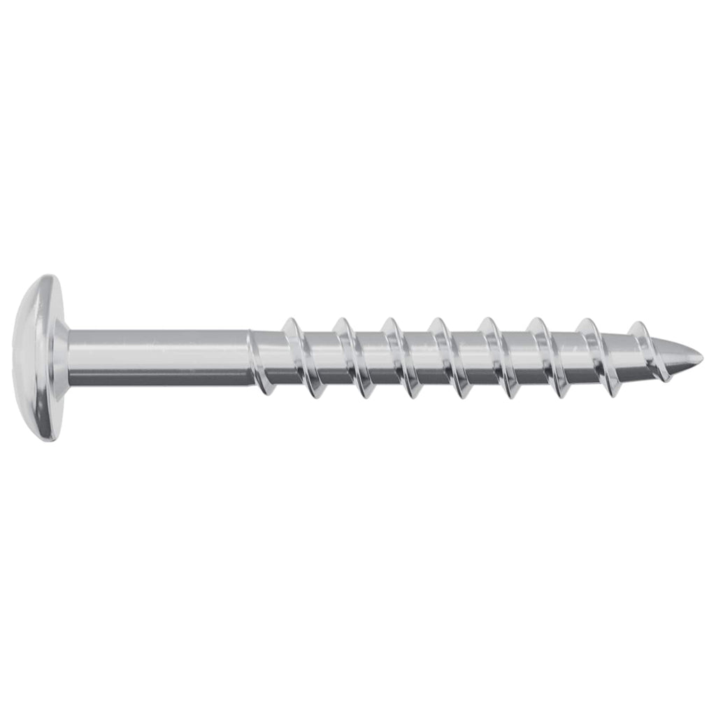 Schraube 2 Pcs Silber 9,8 X 35 Mm Eisen