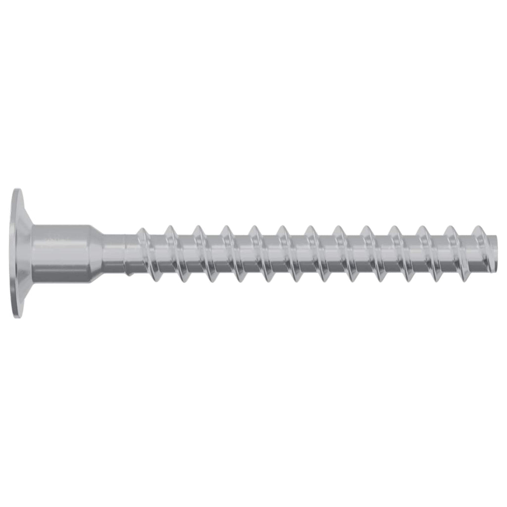 Schraube 2 Pcs Zink-Beschichtet 5 X 40 Mm Eisen
