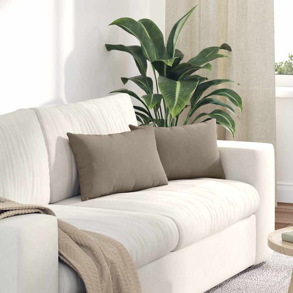 Sofakissen 2 Pcs 50 X 30 Cm Stoff