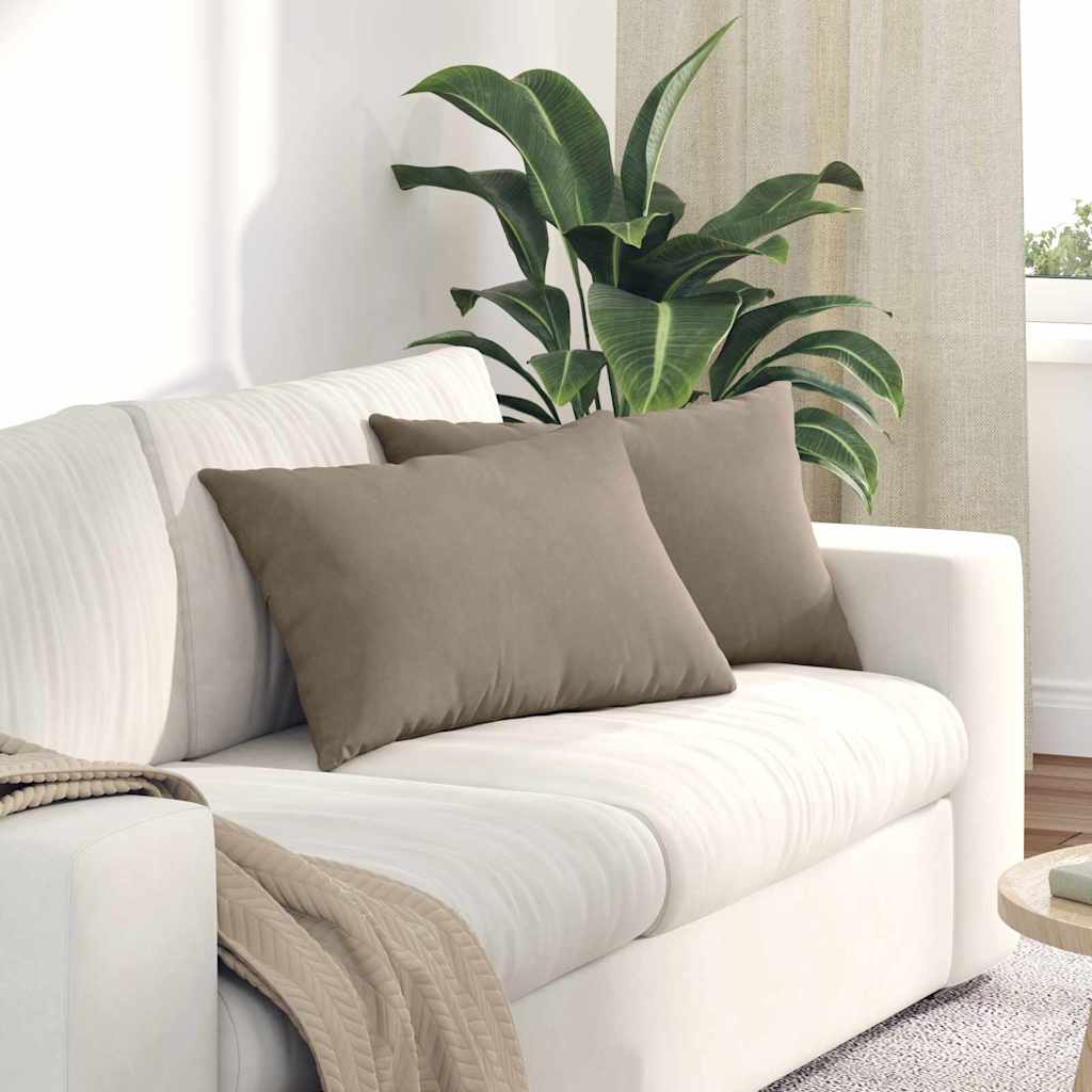 Sofakissen 2 Pcs 50 X 30 Cm Stoff