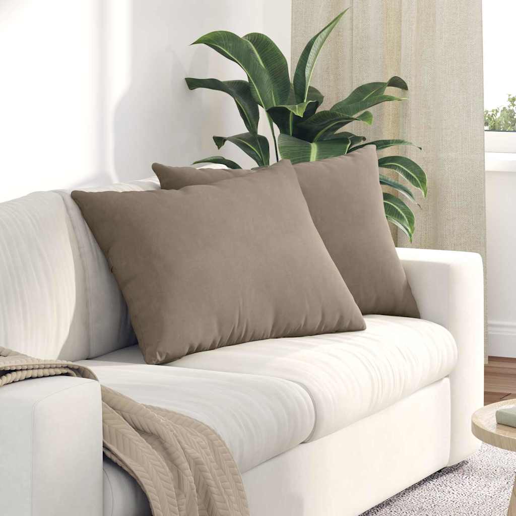 Sofakissen 2 Pcs 50 X 30 Cm Stoff