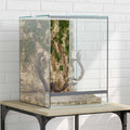 Terrarium Mit Speicher Transparent Glas
