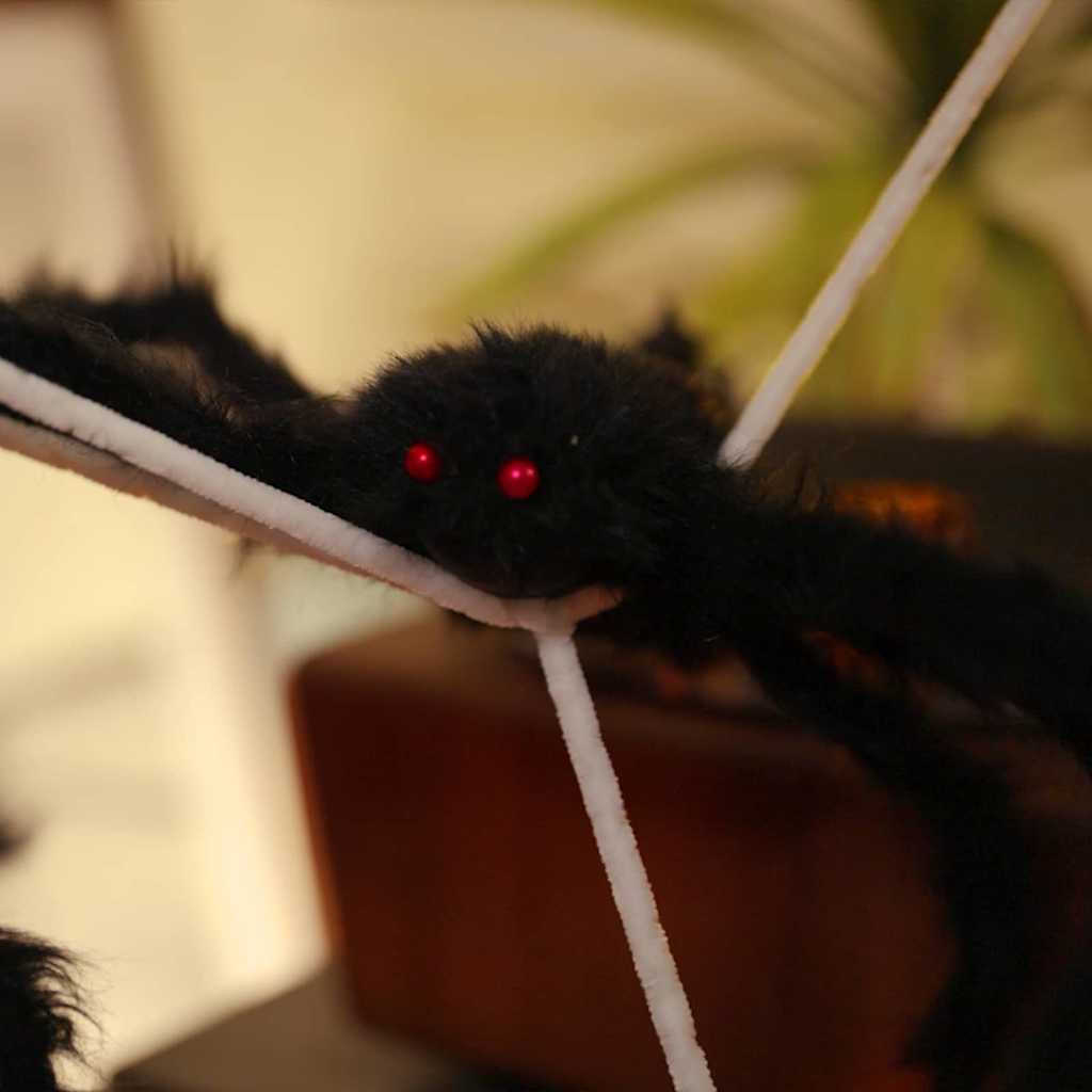 Halloween-Spinnendekoration Mit Netzen 2 Pcs Schwarz Und Weiß