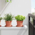 Runder Blumentopf 6 Pcs Kunststoff