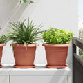 Runder Blumentopf 6 Pcs Ø 26 X 21,5 Cm Kunststoff