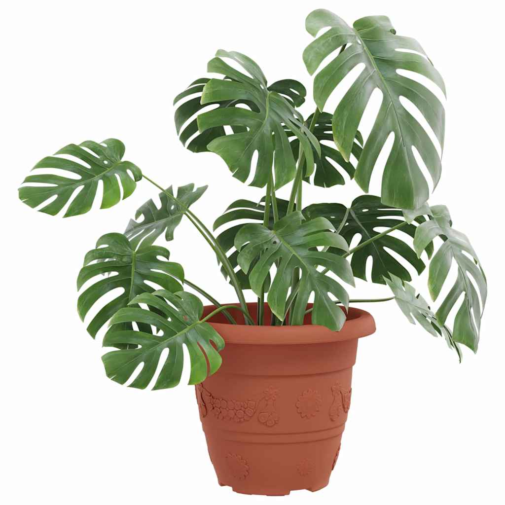 Runder Blumentopf 6 Pcs Ø 26 X 21,5 Cm Kunststoff