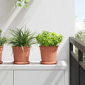 Runde Blumenplatte 6 Pcs Ø 14 X 2 Cm Kunststoff