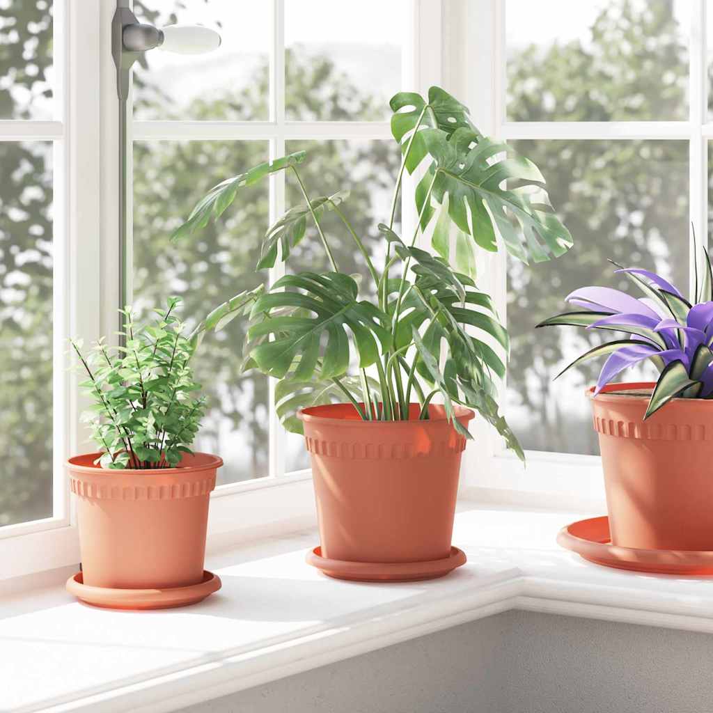 Runde Blumenplatte 6 Pcs Ø 14 X 2 Cm Kunststoff
