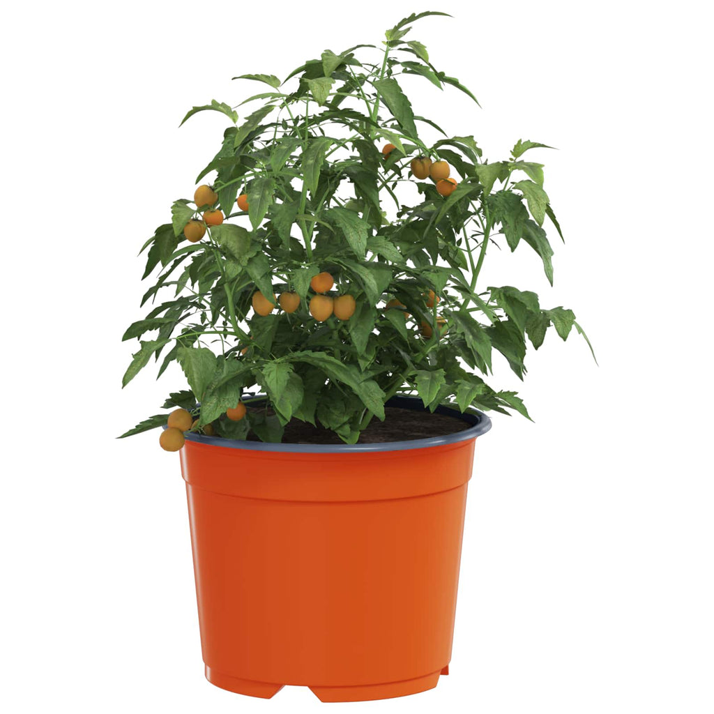 Runder Blumentopf 50 Pcs Terrakotta Ø 15 X 12,5 Cm Kunststoff